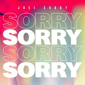 JOEL CORRY - SORRY